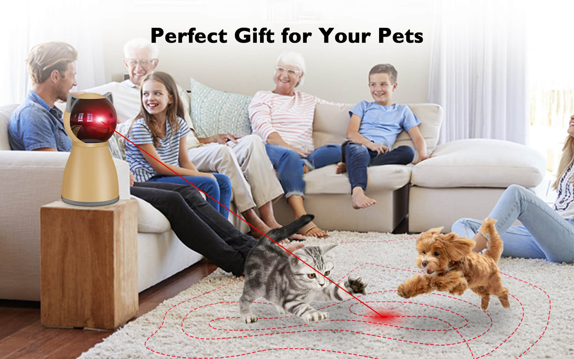 Interactive Cat Laser Toy 2