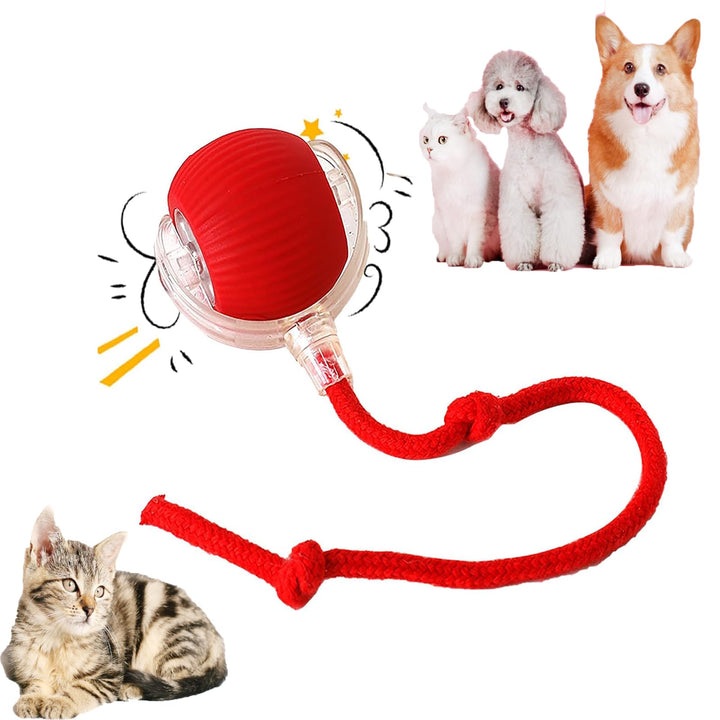 Interactive Cat Toys Ball