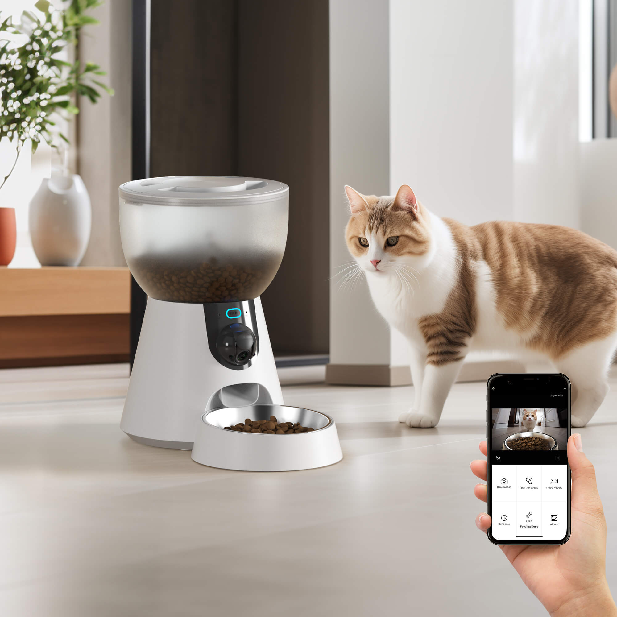 Cheap automatic cat feeder best sale