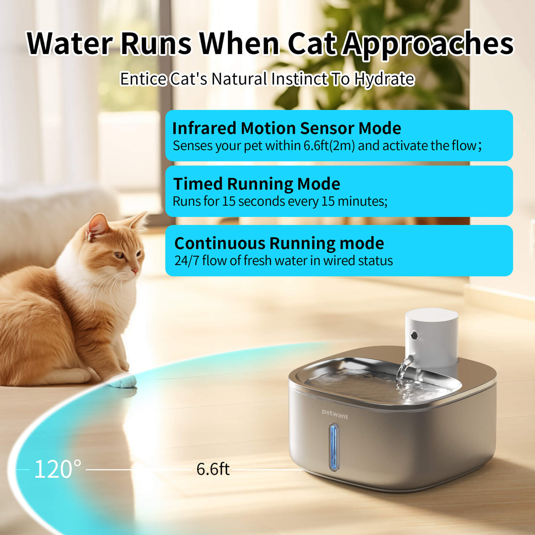 cat water fountain with timer