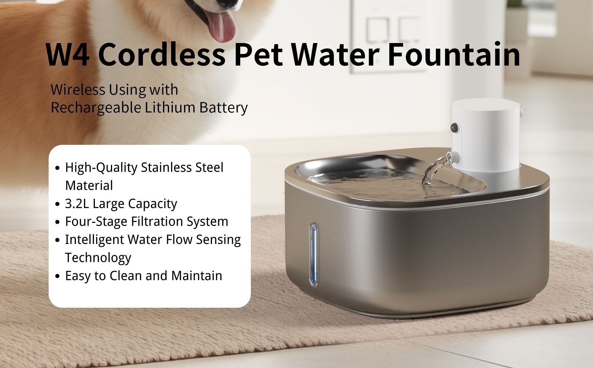 cordless cat water fountain