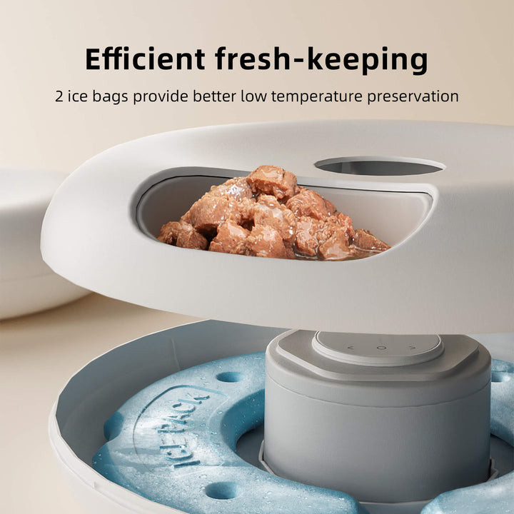 fresh keeping smart feed automatic pet feeder