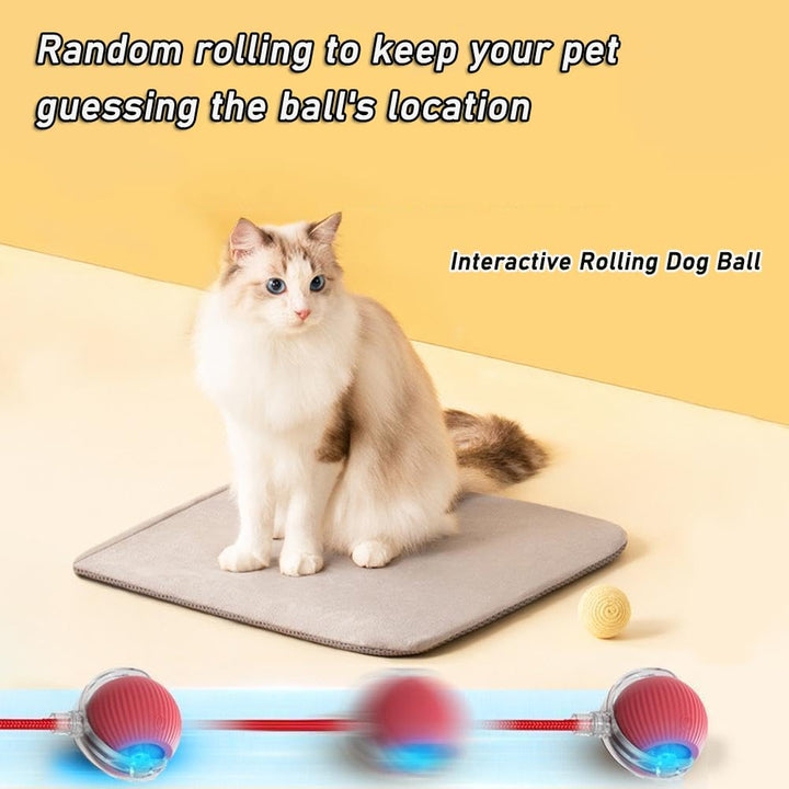 Interactive Cat Toys Ball for Indoor Cats Fast Rolling on Carpet, Chirping & Motion Activate Cat Toys