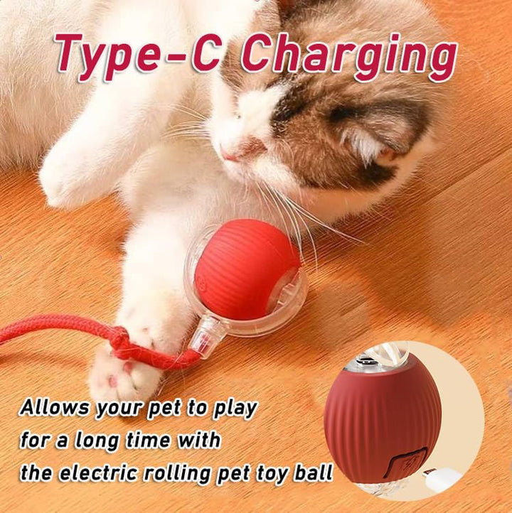 Interactive Cat Toys Ball for Indoor Cats Fast Rolling on Carpet, Chirping & Motion Activate Cat Toys