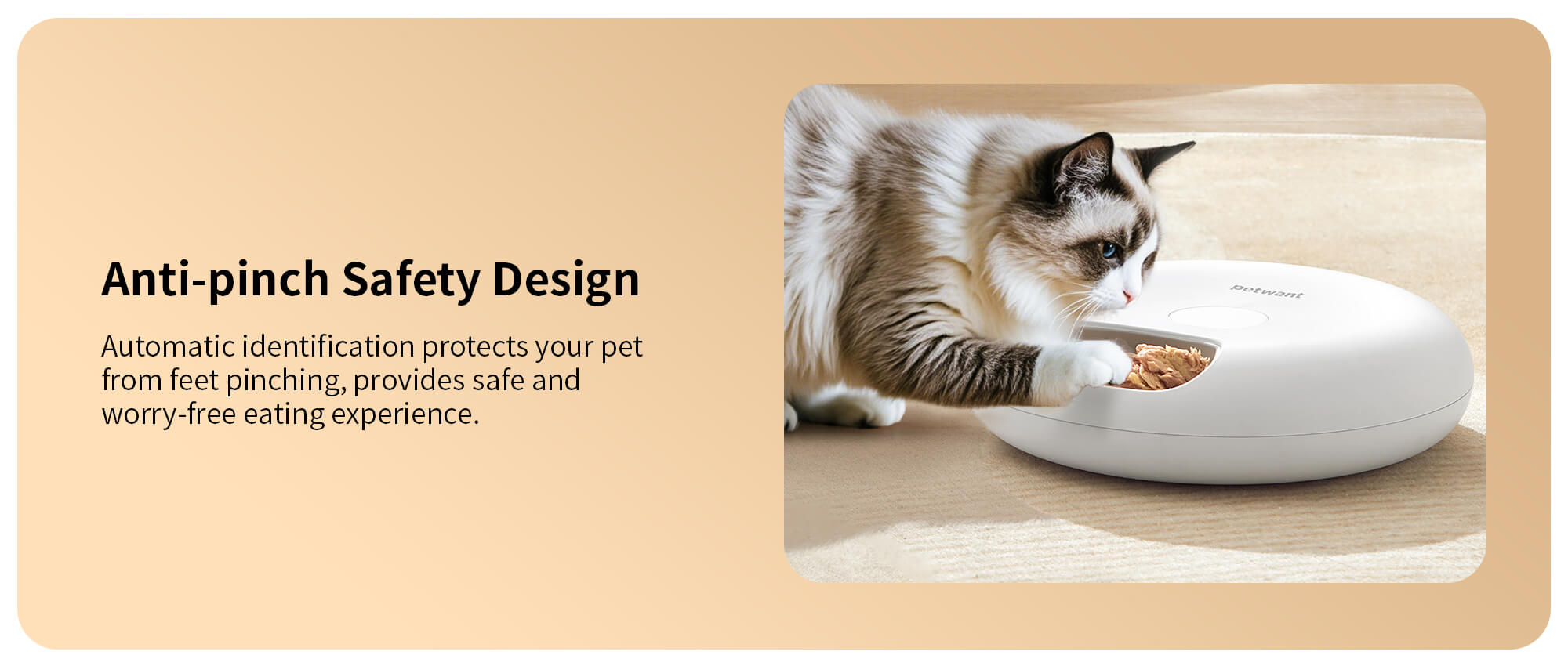 safety design smart feeder pet